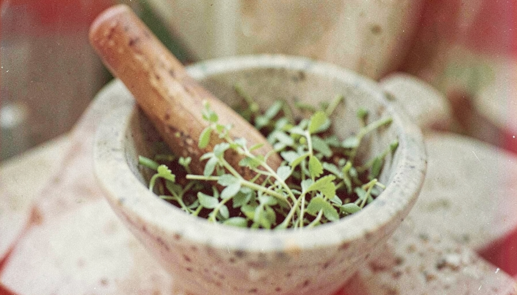Soft-focus analog photograph of green plant material in a mortar with a pestle, muted sage and olive tones, gentle daylight