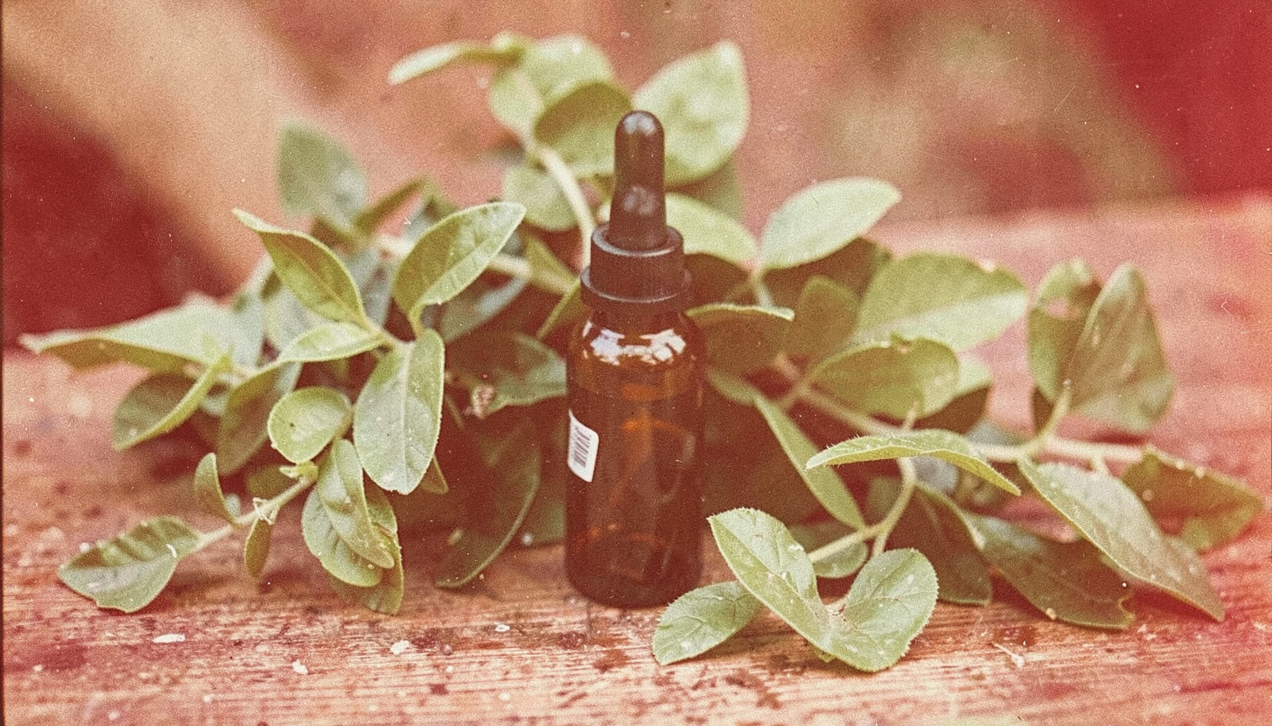 Warm-toned analog photograph of a glass dropper bottle beside fresh green botanical leaves on a textured wooden surface, soft natural light with visible film grain